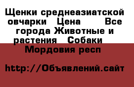 Щенки среднеазиатской овчарки › Цена ­ 1 - Все города Животные и растения » Собаки   . Мордовия респ.